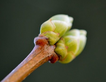 Se libérer de la colère : c’est de saison ! Se libérer de la colère : c’est de saison !