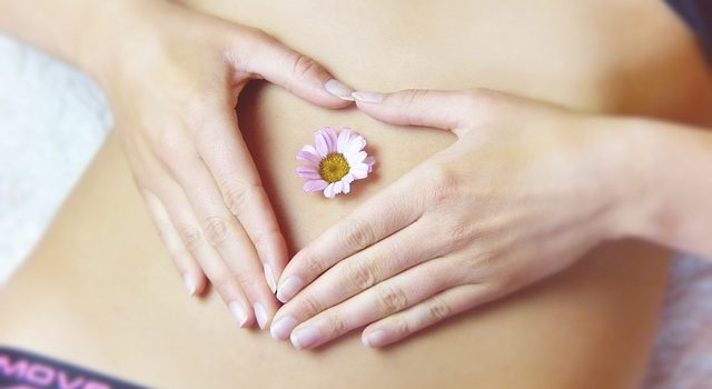Flore intestinale et graisse abdominale : quel lien ?
