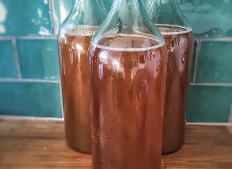 kombucha : la boisson qui soigne les intestins ! kombucha : la boisson qui soigne les intestins !